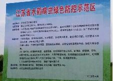 湖南黄金大米事件：食品安全、科研诚信受冲击，涉事机构须被追究责任